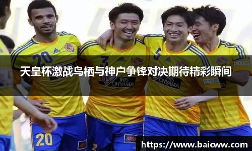 球盟会官网入口球盟会官方网站